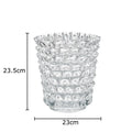 Axyaa Transparent Glass Vase Modern Desk Decoration For Flowers Arrangement
