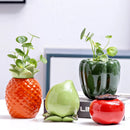 Axyaa Ceramic Persimmon Fruit Flower Pot for Home Decor