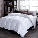 Axyaa Winter Goose Down Quilted Blanket for King and Twin Size