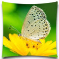 Axyaa Spider Butterfly Print Pillow Case for Home Decor