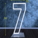 Axyaa 76cm Large Number Neon Sign Stand Up Transparent Dimmable Letter Light