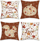 Axyaa Autumn Short Plush Pillowcase for Home Decor