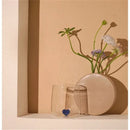 Axyaa Pink Heart Glass Cup: Lovely Gift for Lovers, Breakfast Milk, Latte & Coffee
