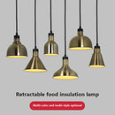 Axyaa 250W Heat Lamp Pendant Light for Food Heating or Holding