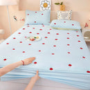 Axyaa Embroidered Padded Fitted Sheet, Washed Cotton, Single Piece, Non-Slip, All-Inclusive