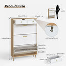 Axyaa Shoe Cabinet Storage with Drawers & Metal Legs