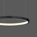 Axyaa Circular Pendant Light: Italian Living Room, Nordic Restaurant Style