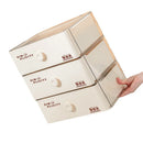 Axyaa Underwear Socks Bra Pant Scarf Tie Drawer Organizer Box Wardrobe Storage