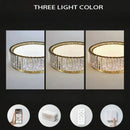 Axyaa Light Luxury Ceiling Lamp for Living Room, Dining Room & Master Bedroom