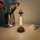Axyaa Touch Dimmable LED Desk Lamp, Modern USB Rechargeable Ambient Light
