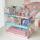 Axyaa Foldable Desk Pet Organizer with Transparent Large Capacity for Cosmetics and Stationery