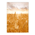 Nordic Wheat Grass Landscape Canvas Wall Art Print for Living Room Decor by Axyaa