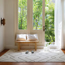 Axyaa Rainbow Fluffy Soft Carpet for Living Room Bedroom Decor