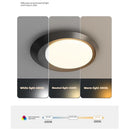 Axyaa Nordic LED Ceiling Light for Modern Indoor Decor Lighting