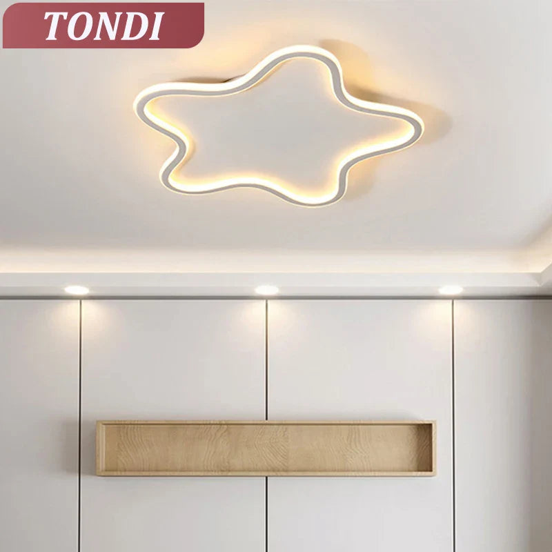 Axyaa Star LED Ceiling Light: Modern Room Decoration Fixture