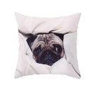 Axyaa Pug Dog Pillow Case 45*45CM Cute Dog Decorative Cover