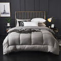 Axyaa Winter Microfiber Duvet Comforter - Thick & Washable - Small Queen King Size