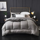 Axyaa Winter Microfiber Duvet Comforter - Thick & Washable - Small Queen King Size