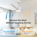 Axyaa Modern Simplicity Ceiling Fan with Lights, Remote Control, Strong Winds, LED - Living Room