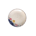 Axyaa Ceramic Sushi Plate: Retro Japanese Style Tableware for Desserts and Cakes