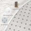 Axyaa Silky Soft Shaggy Area Rug for Living Room Bedroom Kids Nursery Mats
