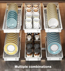 Axyaa Pull Out Dish Rack with Drainboard & Drawer Storage Mesh Basket
