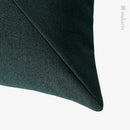 Axyaa Gray Green Two-Color Sofa Pillow Set
