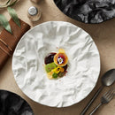Axyaa Ceramic Western Dining Plate Set for High-End Restaurants & Home - Pleated Design