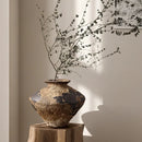 Axyaa Retro Wabi-Sabi Ceramic Vase for Stylish Living Room Flower Arrangement