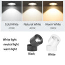 Axyaa LED Downlight Ceiling Lamp for Home Decor and Lighting
