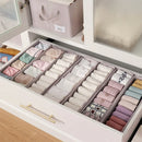 Axyaa Underwear & Bra Organizer Cabinet for Closet Clothes Storage