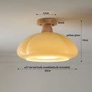 Axyaa Nordic Resin Copper Ceiling Light for Aisle Living Room Decoration
