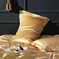 Axyaa Silk Pillowcase: Luxuriously Soft Skin-Friendly Pillow Cover