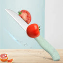 Axyaa Stainless Steel Cutter Set with Wheat Straw Board - Kitchen Tools