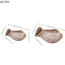 Axyaa Ceramic Conch Sushi Plate Set