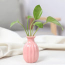 Axyaa Ceramic Mini Vase Set for Nordic Room Decor