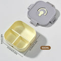 Axyaa Divided Lunch Box: Large Capacity, Sealed Container for Food, Fruit, Salad