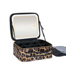 Axyaa LED Makeup Bag with Mirror & Lights, Cosmetic Organizer Train Case, 3 Colors