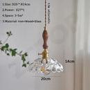 Axyaa Glass LED Pendant Light: Modern Hanging Lamp for Dining Room, Bedroom, Kitchen