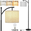 Axyaa LED Floor Lamp with Dimmable 3 Color Options and Modern Design