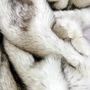 Axyaa Luxury Fox Fur Blanket: Soft & Fluffy Faux Fur Throws for Sofa Bed