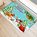 Axyaa Home Decor Entry Mat 40x60 50x80cm