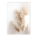 Axyaa Beige Dandelion Bunny Tail Grass Canvas Art Print Nordic Flower Poster