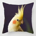Colorful Parrots Decorative Cushion Cover by Axyaa - 45x45cm