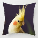 Colorful Parrots Decorative Cushion Cover by Axyaa - 45x45cm