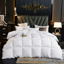 Axyaa Winter Quilted Goose Down Duvet with 100% Cotton Cover