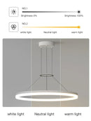 Axyaa Black Ring LED Pendant Lamp for Modern Minimalist Living Spaces