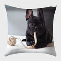 Axyaa French Bulldog Polyester Cushion Cover - Modern Sofa Throw Pillow Cover
