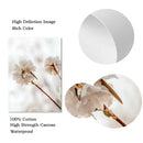 Axyaa Beige Dandelion Bunny Tail Grass Canvas Art Print Nordic Flower Poster