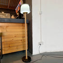 Axyaa Modern Double Glass Floor Lamp Minimalist Standing Lighting for Home Living Room